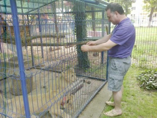 Grădina zoologică a primarului din Năvodari a intrat în călduri